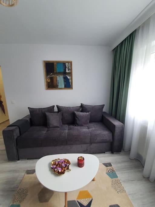 Apartament Ama Sibiu Eksteriør billede