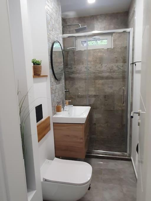 Apartament Ama Sibiu Eksteriør billede