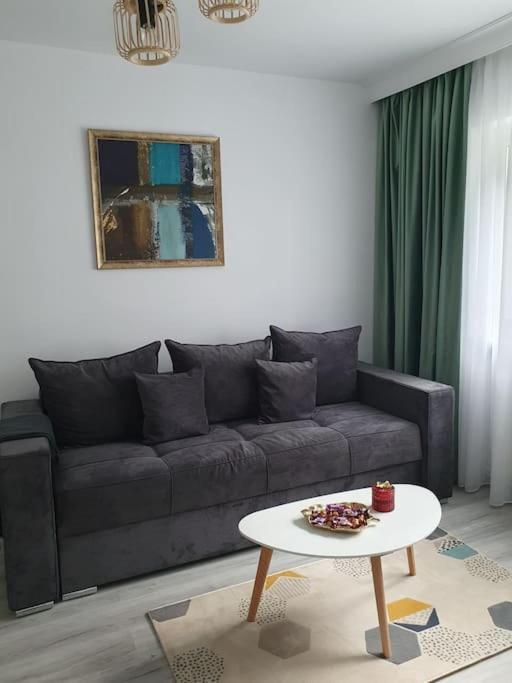 Apartament Ama Sibiu Eksteriør billede