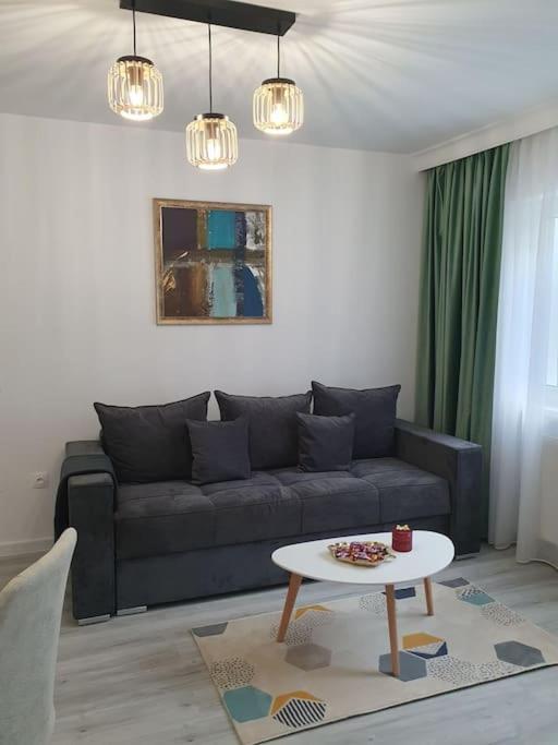 Apartament Ama Sibiu Eksteriør billede